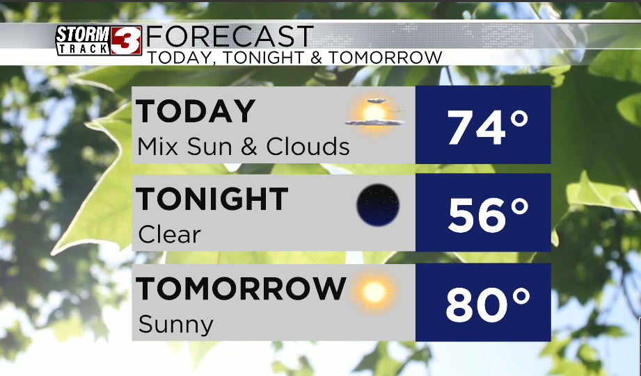 Forecast